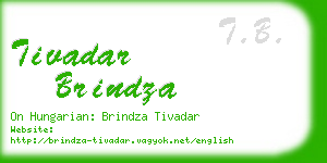 tivadar brindza business card